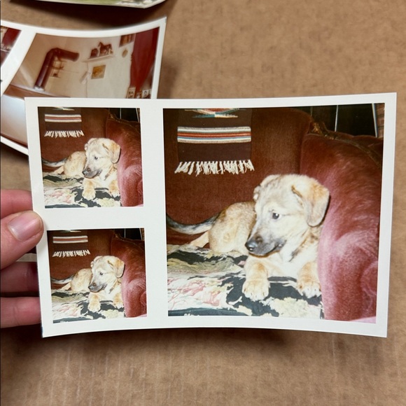 Vintage Photo Collection - Picture 2 of 11